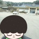 만전당길 이미지