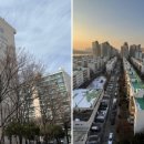 과천주공10단지노동조합 | 부동산 스터디 카페 추천게시글 및 붇옹산 프리미엄 콘텐츠(2025.11.21)