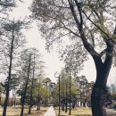 방이수약국 이미지