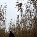 하단동061 이미지