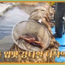성포횟집 이미지