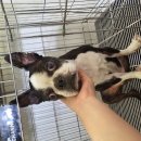 매봉6길 이미지