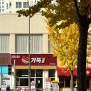 기울어진뚝배기청주강서점 | 청주 ❤️ 기울어진 뚝배기, 기뚝 국밥 / 청주 강서점 내돈내산 후기