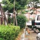 따스한 동물병원 이미지