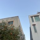 금식자동차공업사 | 20. 내 몸을 돌보는 일