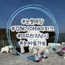 어서와, 손주는 처음이지? | 경남 눈썰매장 추천 '김해가야테마파크 눈썰매장' 다녀온 후기! 꿀팁 정보공유