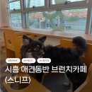 무무커피시흥군자점 | 시흥 애견카페 <스니프> 내돈내산 솔직 후기