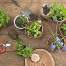 수지성복 효성해링턴코트 이미지