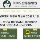 조은애견미용 이미지