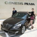 제네시스 이미지