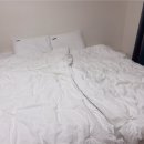 신혼침구 코지네스트 레노마홈 에플린워싱 사계절용 차렵이불 내돈내산 후기