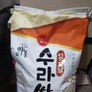 햇쌀
