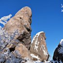 조은사람들 이미지