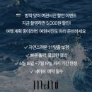 경인렌트카 | [인하대] 스튜디오 무늬 여권 사진 후기 / 인천사진관, 인하대스튜디오, 내돈내산