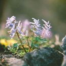 기동민박 이미지