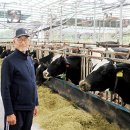 충남목장 이미지