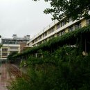 언주중학교 이미지