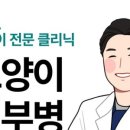 지성동물병원 이미지