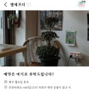 [창원] 창원놀거리, 창원 실내 데이트 추천! ‘MFD 엠에프디’ 향수공방