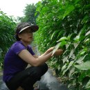 병철농장 이미지