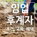 늘푸른임업 - 청주시 상당구 | 늘푸른임업