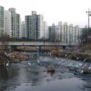 용인실내게이트볼장 이미지