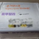 뀰아쿠아 네이버블로그