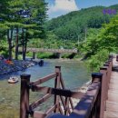 들꽃여울캠핑장 | [가평 캠핑장 추천] 유명산 들꽃여울 캠핑장 가평 캠핑장 중 최고의 선택