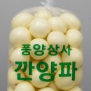 농수산물도매시장 채소1동_1 | 🧅 구리농수산물도매시장 깐양파, 경매부터 직접! 믿고 거래하세요