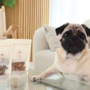 개으른세상 도그푸드 이미지