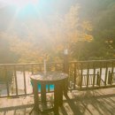 리베펜션 이미지