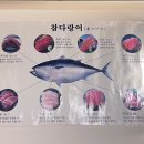 참치봉 이미지