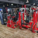 백프로짐 이미지