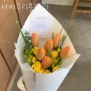 더피우리 이미지