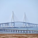 주정차79 이미지