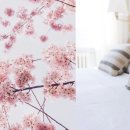 해밀톤관광주 이미지