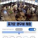 리프패럿 이미지