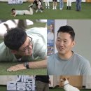 도그데일리 이미지