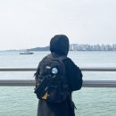 백팩 추천 직장인 학생 꾸안꾸 스타일링