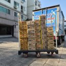 도매유통 | [안산 아이스크림 유통] 강남 아이스크림 도매 납품 후기, 기업간식으로 신제품 말차마루까지 완벽납품.