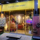 스튜디오카페HARU