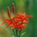 축복의집 이미지