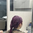 로로살롱 이미지