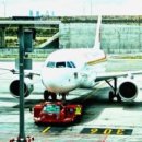 조선갓김치 이미지