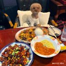 부평시장역 3번 출구 | [인천/부평] 애견동반 부평시장역 맛집, 중독적인 사천요리 추천(feat. 공을기)