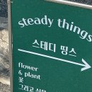 스테디띵스