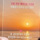 강릉제일공인중개사사무소 이미지