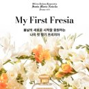 산타마리아노벨라 이미지