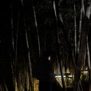 COZY 멍 | [제주도 숙소] 유럽시골감성 숙소 글로리야 C-1 후기