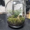브이지(주) | 먹고사고먹고사고먹고일하고
